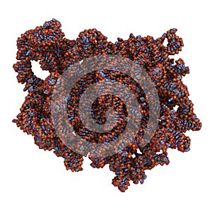 Eukaryotic ribosome structure