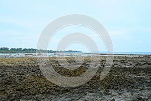 Eulittoral Zone - Intertidal Ecology - Coastal Erosion - Climate Change - Dry Season