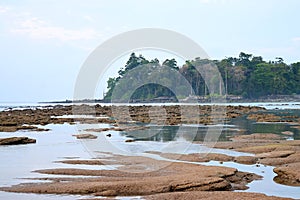 Eulittoral Zone during Low Tide - Calm Waters at Rocky and Sandy Beach with Clear Blue Sky and Trees in Background