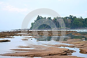 Eulittoral Zone during Low Tide - Calm Waters at Rocky and Sandy Beach with Clear Blue Sky and Trees in Background photo