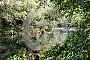 Eume river in the Fragas do Eume park