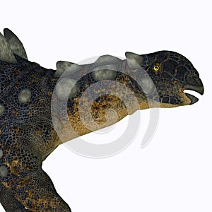 Euoplocephalus Ankylosaur Neck