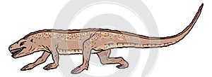 euparkeria dinosaur ancient vector illustration transparent background