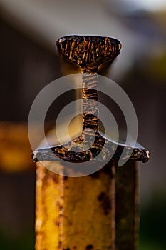 Eupean Train on the track