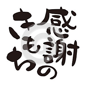A euphemism for `small gift` in Japanese, Japanese calligraphy