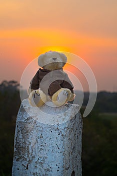 Euphoria Teddy bear sits on a barrier