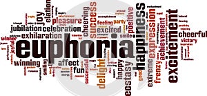 Euphoria word cloud