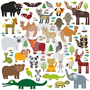 Eurasia animal bison bat fox wolf elk horse camel partridge fur seal Walrus goats Polar bear Eagle bull raccoon snake sheep p