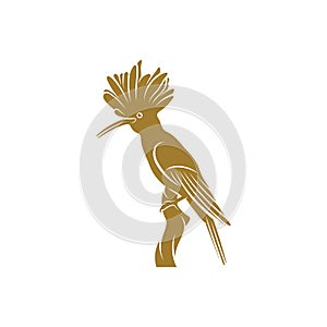 Eurasian Hoopoe bird vector illustration. Eurasian Hoopoe bird logo design concept template. Creative symbol