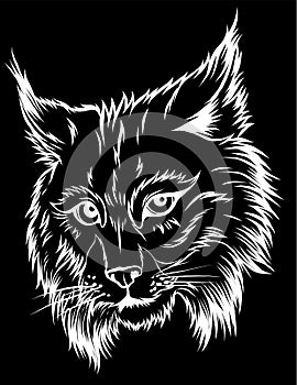 Eurasian lynx isolated vector illustration. Vector hand drawn wild animal sketch icon.