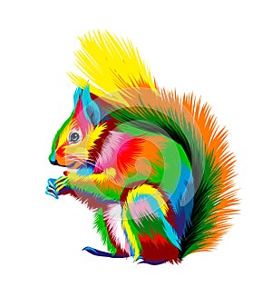 Eurasian red squirrel from multicolored paints. Splash of watercolor, colored drawing, realistic