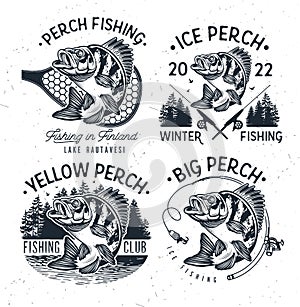 Eurasian River Perch Fish.Yellow Perch Fishing Club Emblem. Bass Fishing Logo Isolated on White Background. Vector