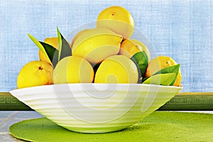 Eureka Lemons in a White China Bowl ~ Grunge Wall