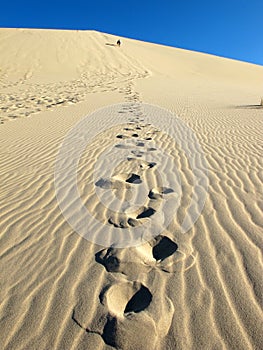 Eureka Sand Dune footprint