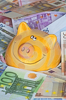 Euro Bank notes with a piggy bank showing Drowning in money