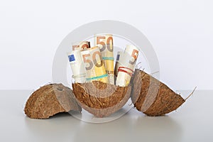 Euro banknote inside coconut shell.