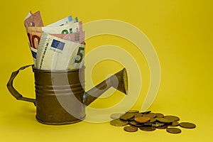 Euro banknotes in a copper watering can