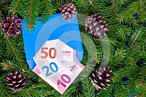 Euro banknotes in blue envelope. Christmas tree branches in background.