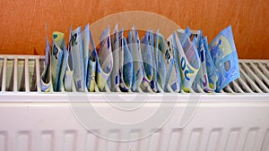 Euro banknotes in central heating radiator, concept of expensive heating costs, close-up. Crisis of energy resources in