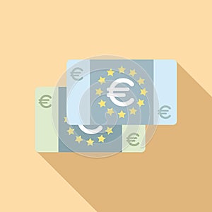 Euro cash money icon flat vector. Safe credit