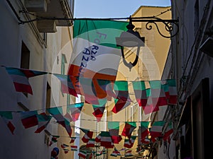 Euro 2020 Celebration in Italy 2021 photo