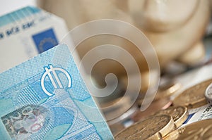 Euro coins and bank notes with golden pig background