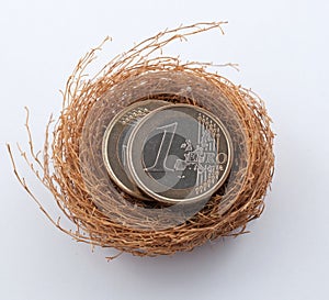 Euro coins in nest