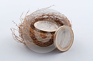 Euro coins in nest