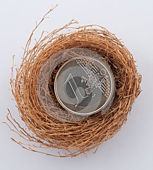 Euro coins in nest