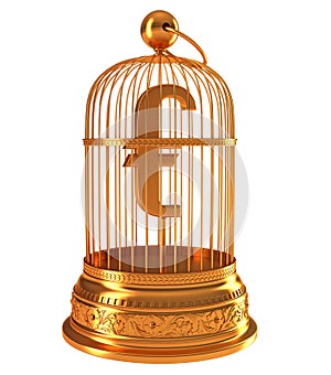 Euro currency symbol in golden birdcage