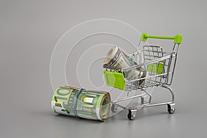 Euro and dolar banknotes in rolls with supermarket trolley on gray background