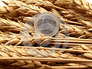 Euro and ears of wheat