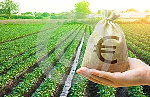 Euro money bag and a potato field. Lending a loan and subsidizing farmers. Surface irrigation of crops. European farming.