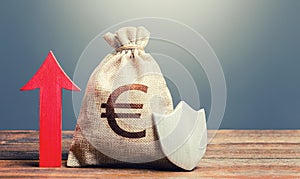 Euro money bag with a shield and a red arrow up. Increasing the maximum amount of guaranteed insurance compensation for deposits.