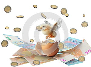 euro money coins banknotes isolated flying chicken happy birth and flying start up - 3d rendering and ai generated