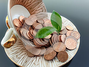 Euro money coins in a cup with plant outgrowth