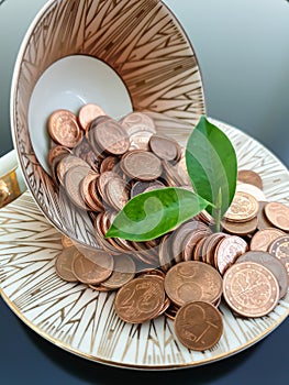 Euro money coins in a cup with plant outgrowth