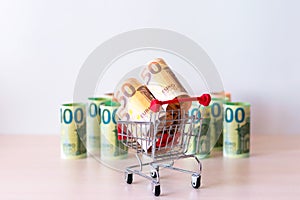 Euro money in denominations of 100 and 50, folded into a roll of one bill each, and a shopping basket. The concept of seasonal