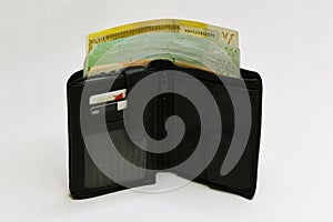 Euro money wallet. isolated