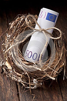 Euro Nest Egg Money