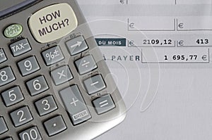 Euro Pay slip and calculator