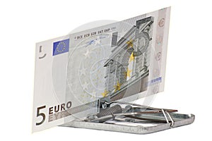 The euro swindle photo