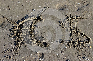 Euro symbol erased and the dollar sign on the beach photo