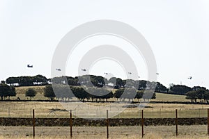 Eurocopter Super Puma helicopters flying in line over a farm photo
