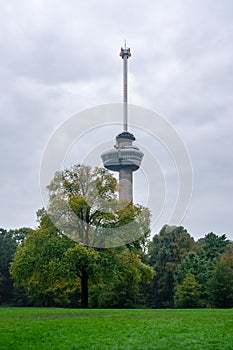 Euromast observation tower in Rotterdam, Netherlands. City park trees and green grass