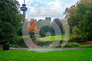 Euromast observation tower in Rotterdam, Netherlands. City park trees and green grass