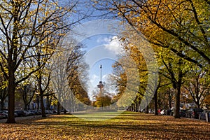 Euromast observation tower in Rotterdam, Netherlands. City park trees and green grass, sunny autumn day