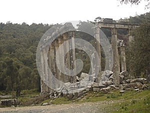 Euromos Ruins