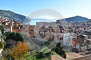 Europe, Croatia, old town Dubrovnik, panoramic view over rooftops