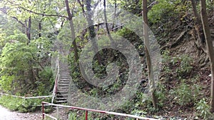 Stairs in the woods